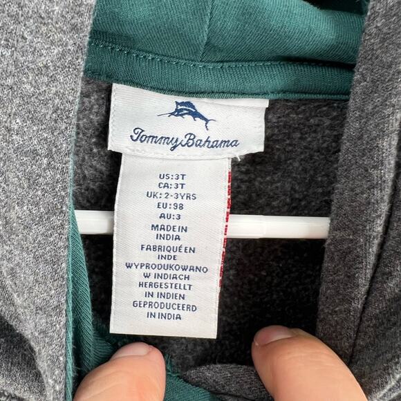 Tommy Bahama Dino Spike Hoodie- 3T - Picture 3 of 6